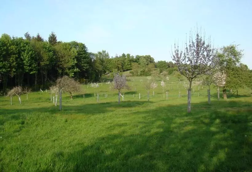 ベッドアンドブレックファースト Gîte De La Cour