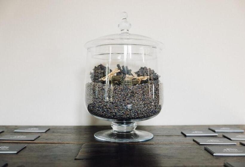 مبيت وإفطار Il Castellaro