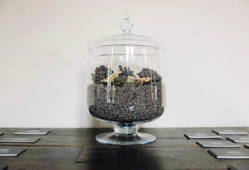 Aamiaismajoitus (B&B) Il Castellaro