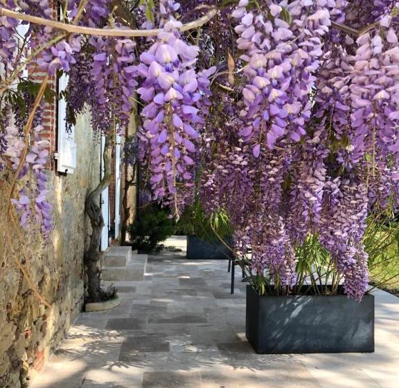 Bed and Breakfast La Bastide De Negra