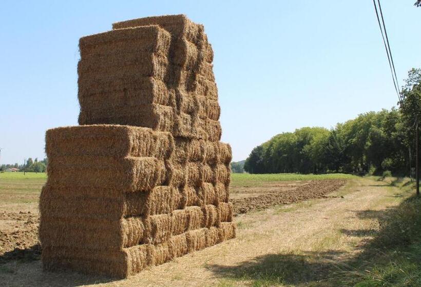Bed and Breakfast La Bastide De Negra