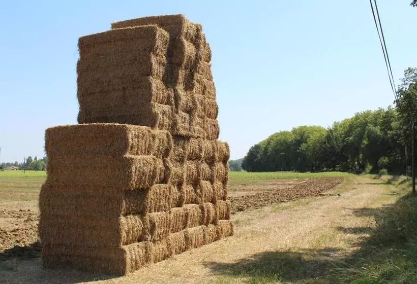 Aamiaismajoitus (B&B) La Bastide De Negra