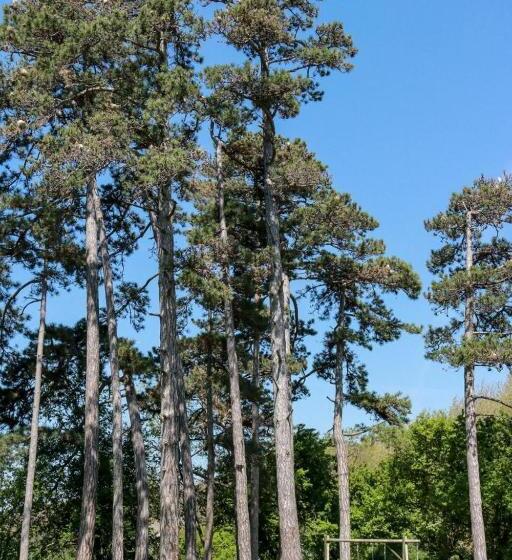 Bed and Breakfast La Bastide De Negra