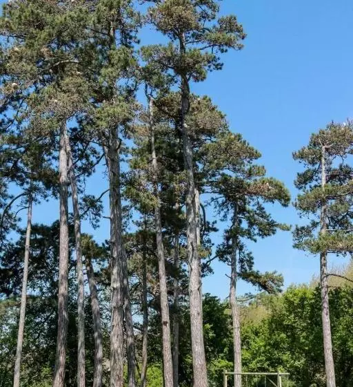 Aamiaismajoitus (B&B) La Bastide De Negra