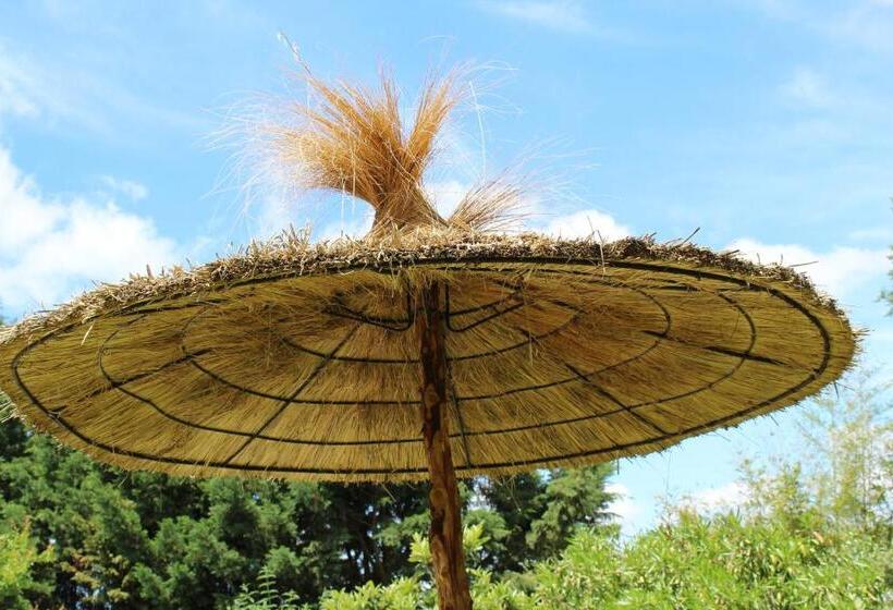 Bed and Breakfast La Bastide De Negra