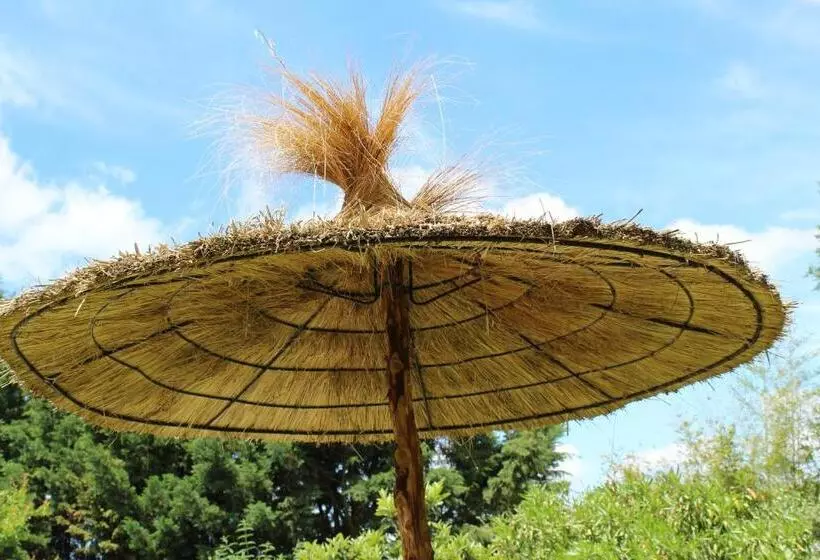 Aamiaismajoitus (B&B) La Bastide De Negra