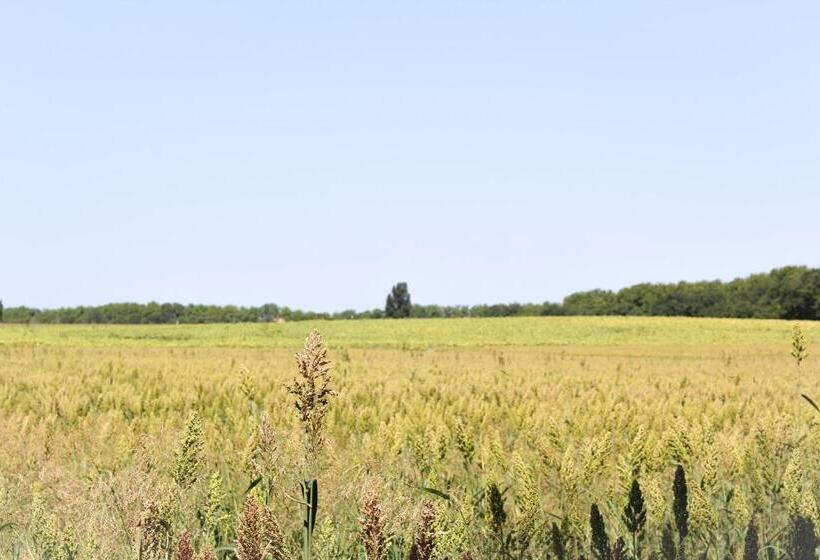 Bed and Breakfast La Bastide De Negra