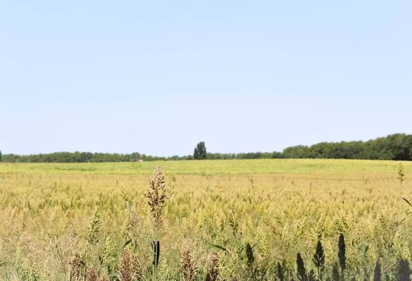 Aamiaismajoitus (B&B) La Bastide De Negra