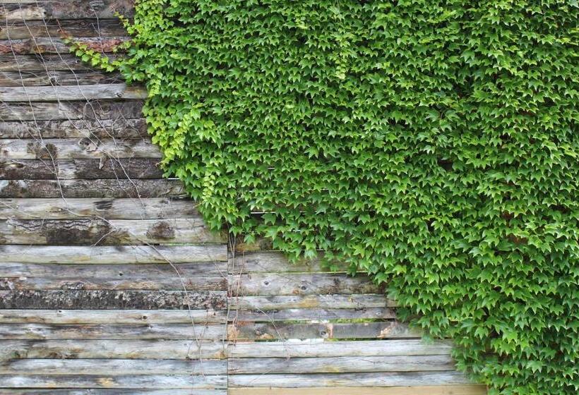 Bed and Breakfast La Bastide De Negra