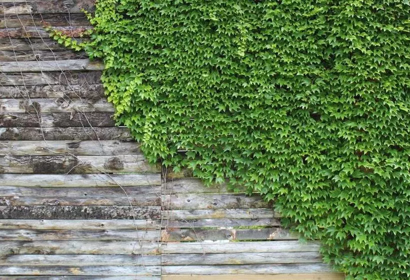 Aamiaismajoitus (B&B) La Bastide De Negra