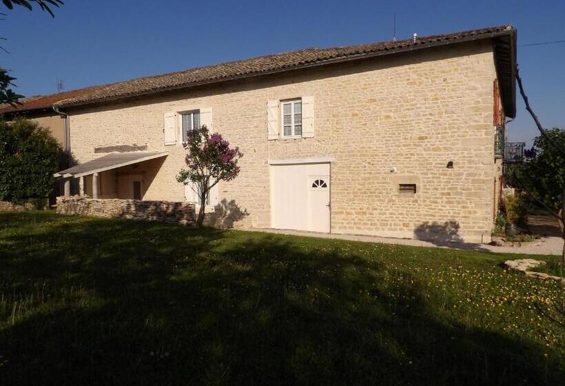 تختخواب و صبحانه Litdevin