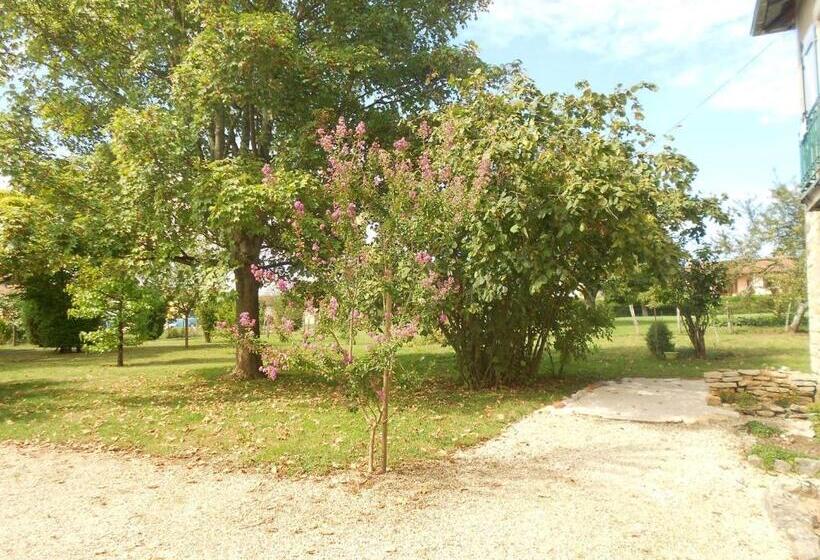 تختخواب و صبحانه Litdevin