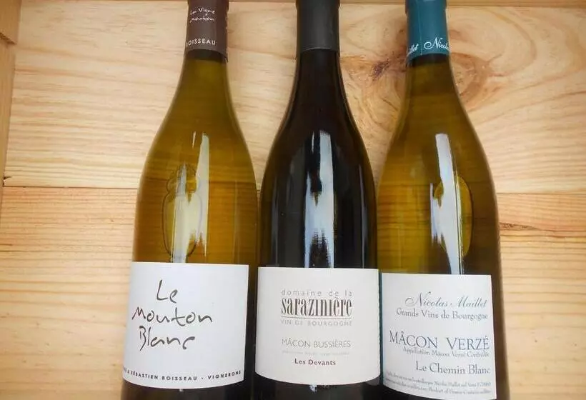 Aamiaismajoitus (B&B) Litdevin