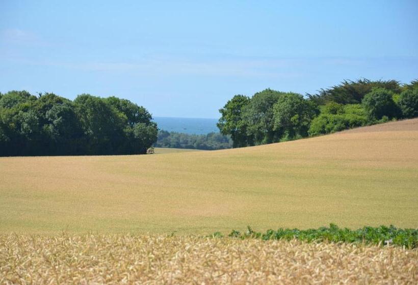 Bed and Breakfast ô Sources