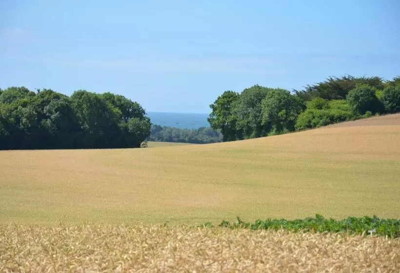 ベッドアンドブレックファースト ô Sources