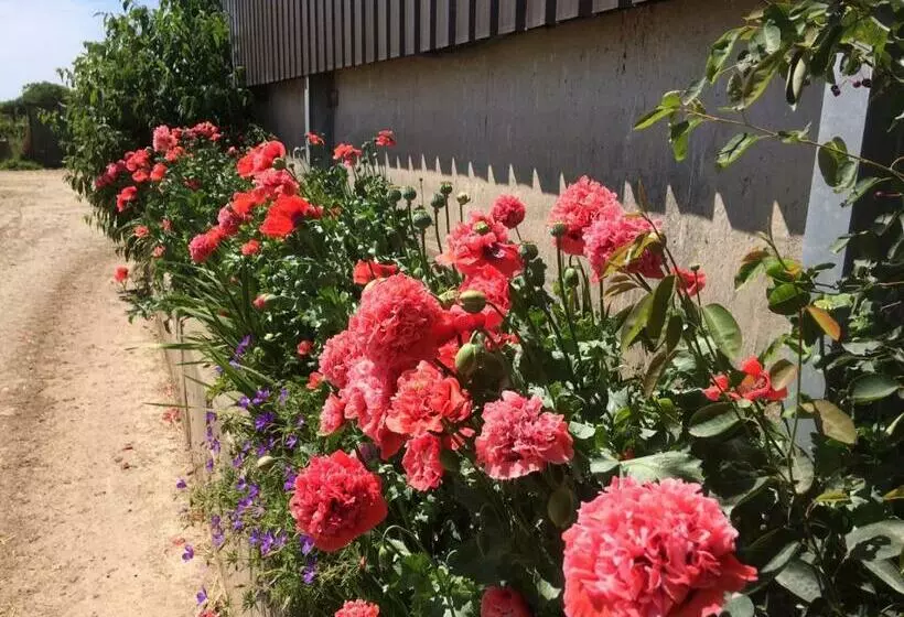 Bed and Breakfast Trecorme Barton