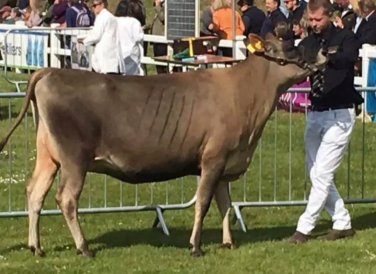 Bed and Breakfast Trecorme Barton