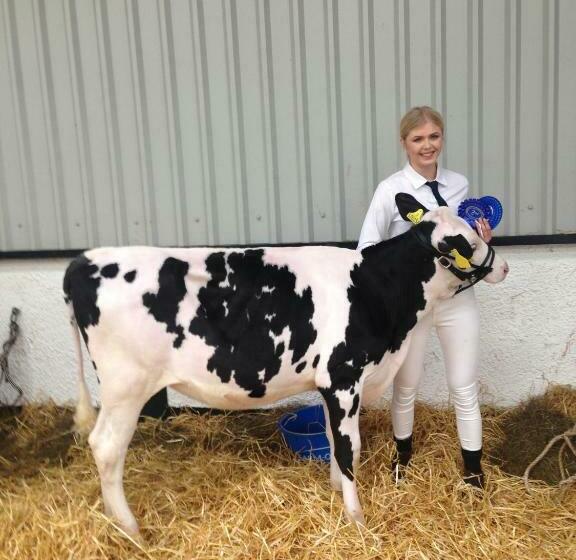 Bed and Breakfast Trecorme Barton