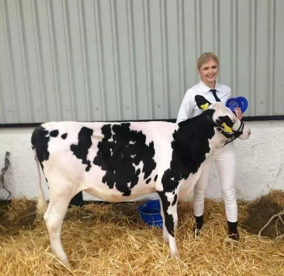 Bed and Breakfast Trecorme Barton