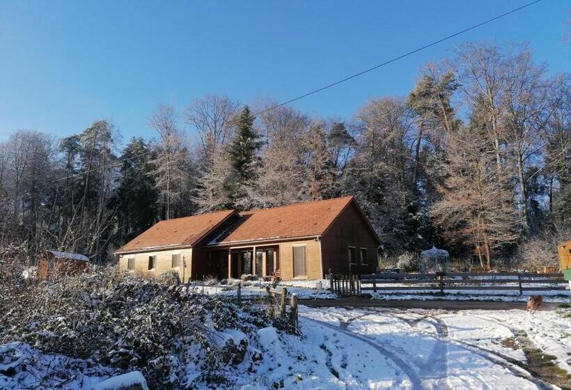 민박 Vosges Chambres D Hotes