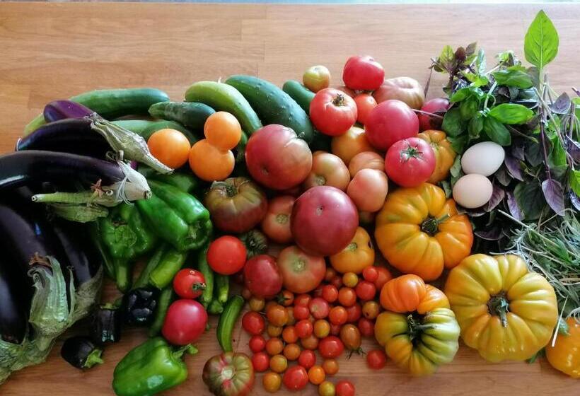 민박 Vosges Chambres D Hotes