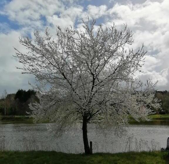 민박 Vosges Chambres D Hotes