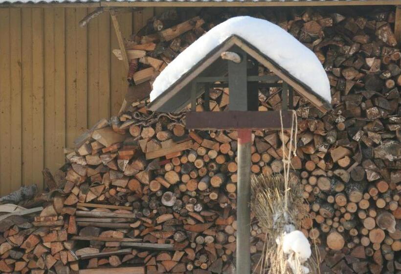 Bed & Breakfast Björkhyddan