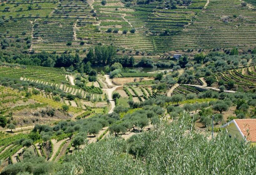فندق Casa Oliveiras Do Douro