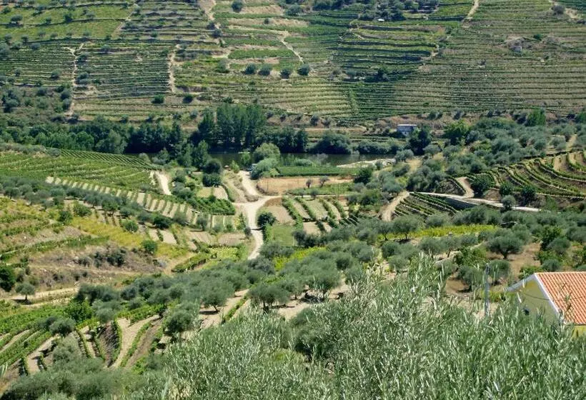 ホテル Casa Oliveiras Do Douro