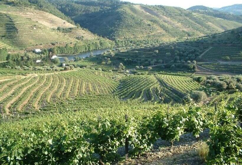 فندق Casa Oliveiras Do Douro