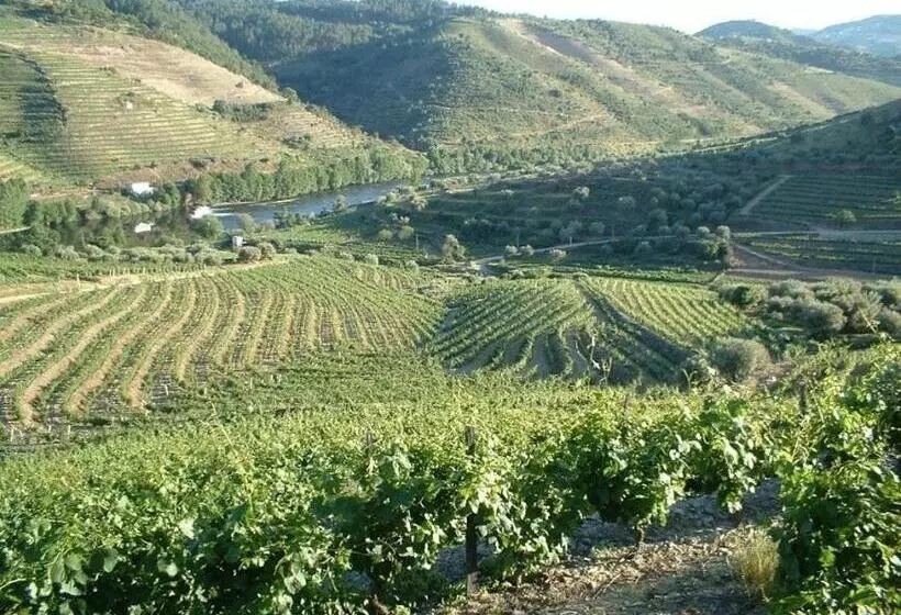 ホテル Casa Oliveiras Do Douro