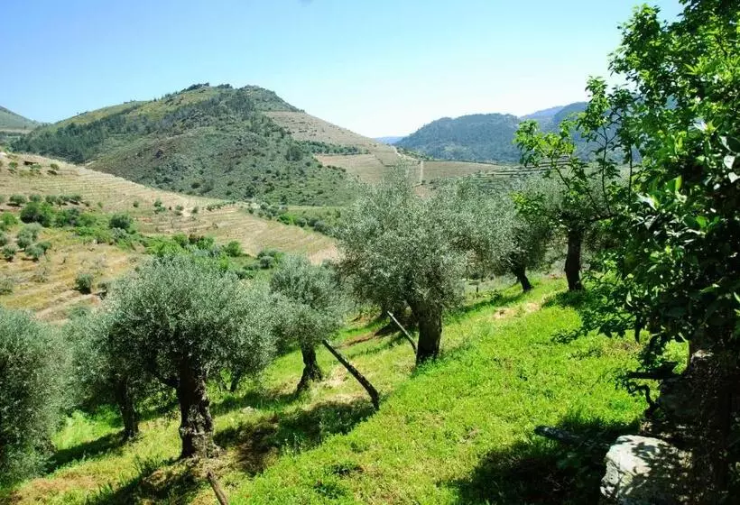 ホテル Casa Oliveiras Do Douro