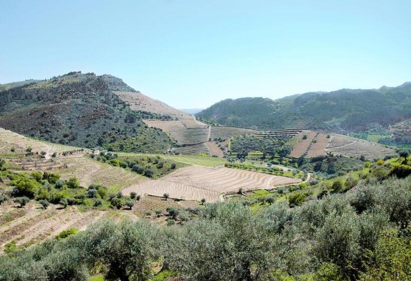 فندق Casa Oliveiras Do Douro