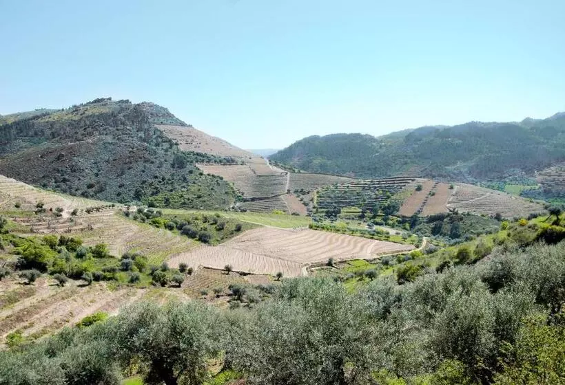 ホテル Casa Oliveiras Do Douro