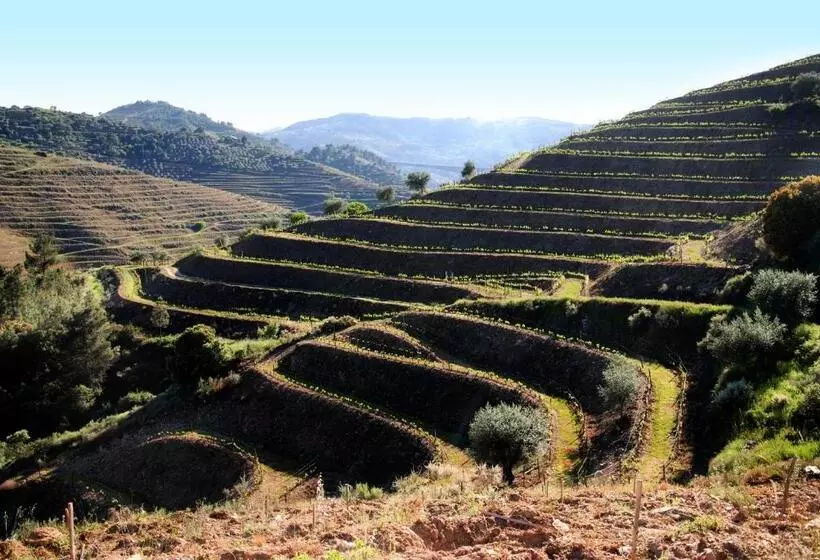 ホテル Casa Oliveiras Do Douro