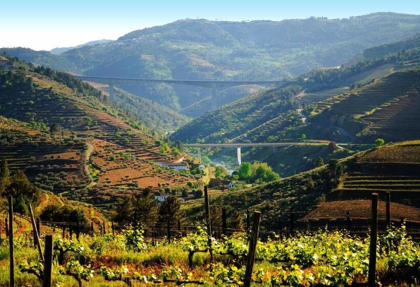 فندق Casa Oliveiras Do Douro
