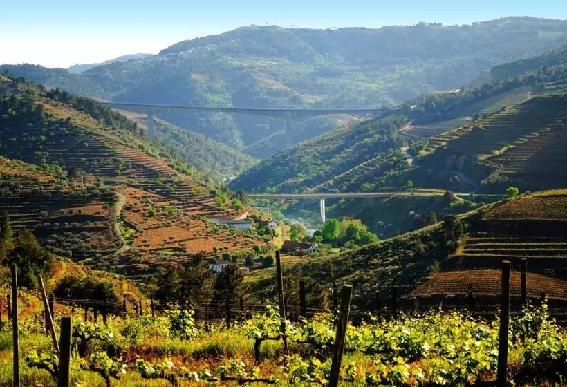 ホテル Casa Oliveiras Do Douro
