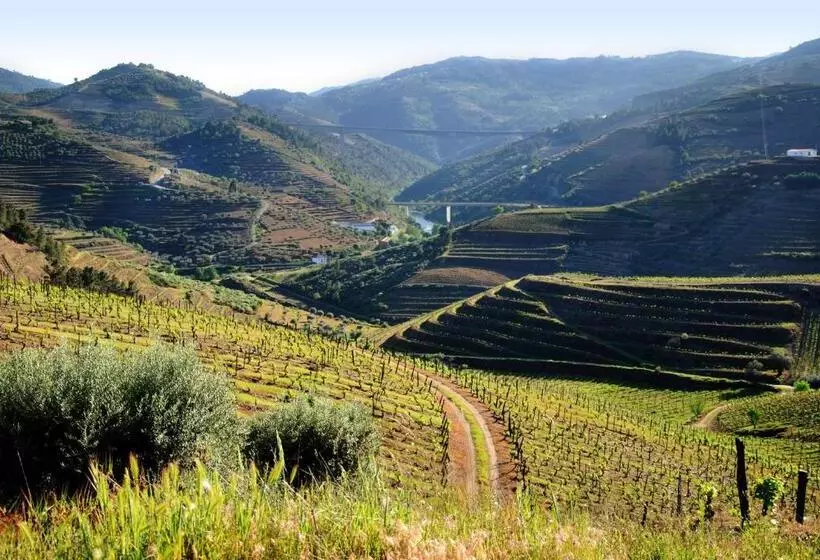 ホテル Casa Oliveiras Do Douro