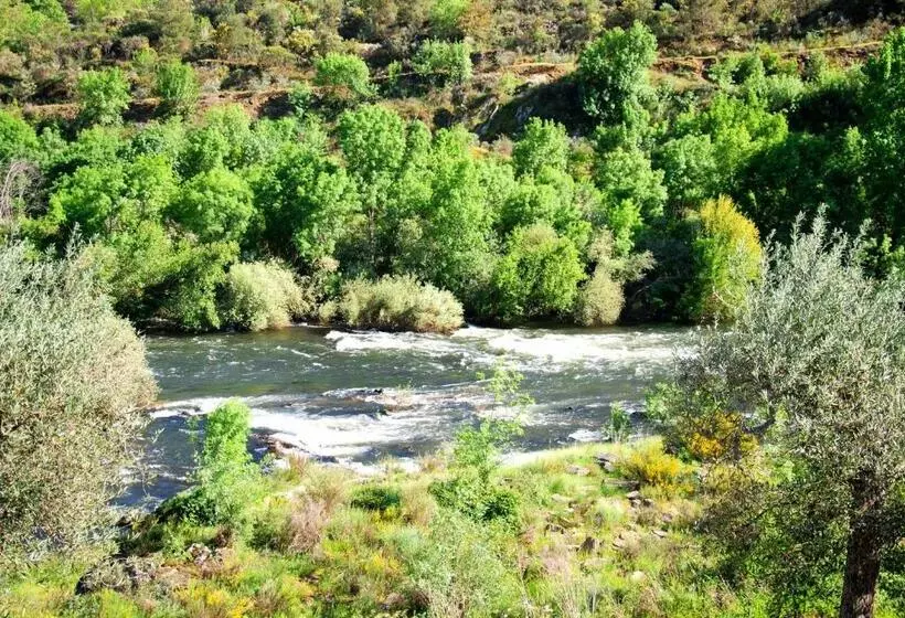 ホテル Casa Oliveiras Do Douro