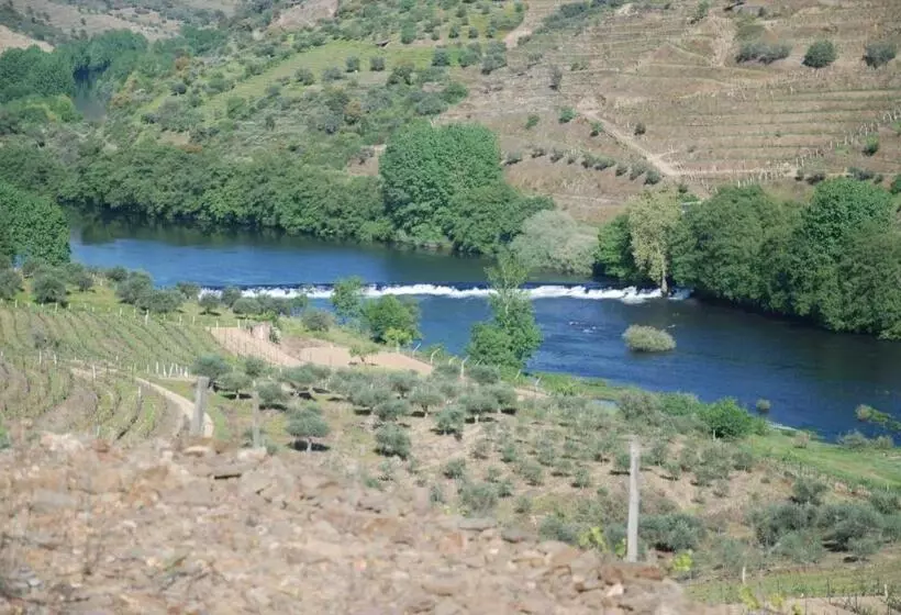 ホテル Casa Oliveiras Do Douro