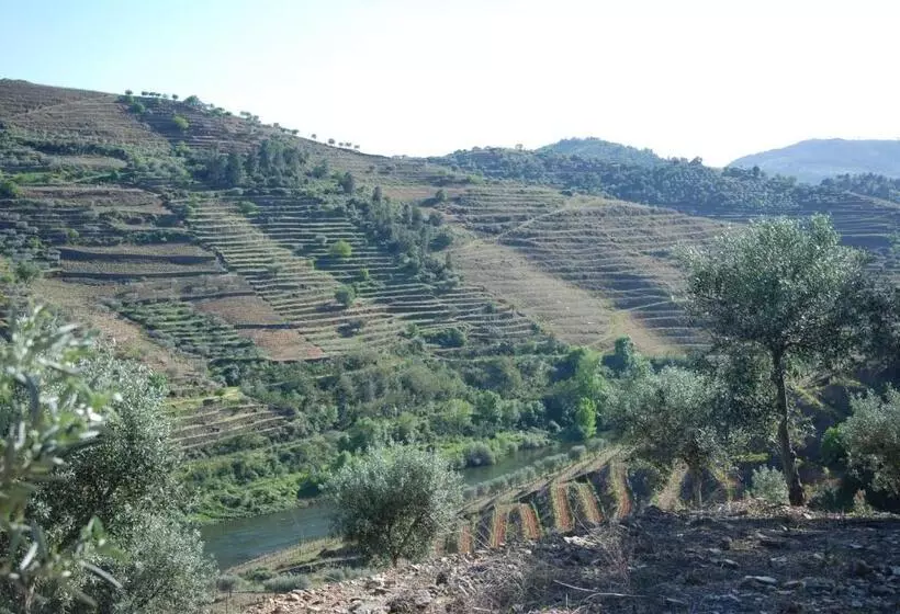 ホテル Casa Oliveiras Do Douro