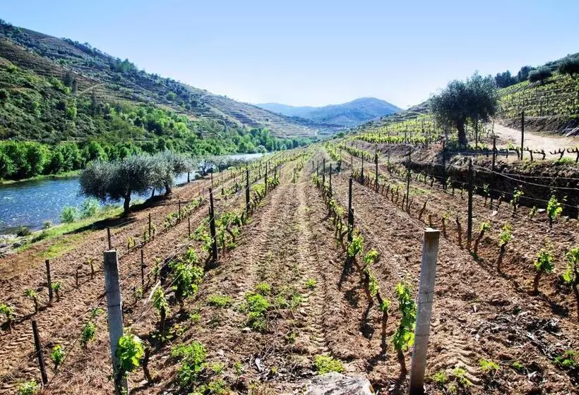 ホテル Casa Oliveiras Do Douro