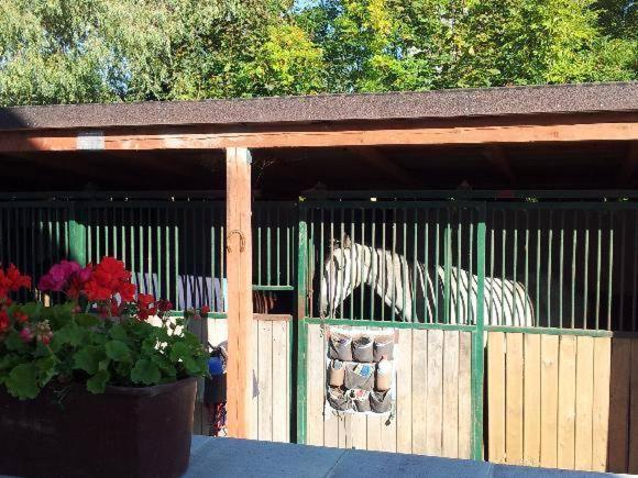 فندق Farm Stay Nh Stables