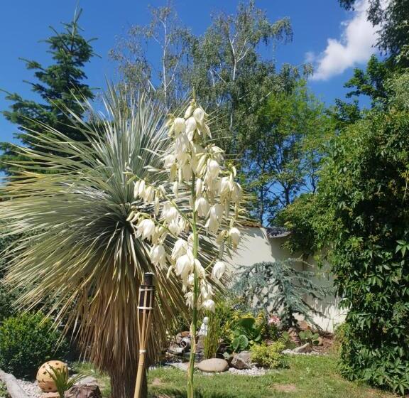 فندق Farm Stay Nh Stables