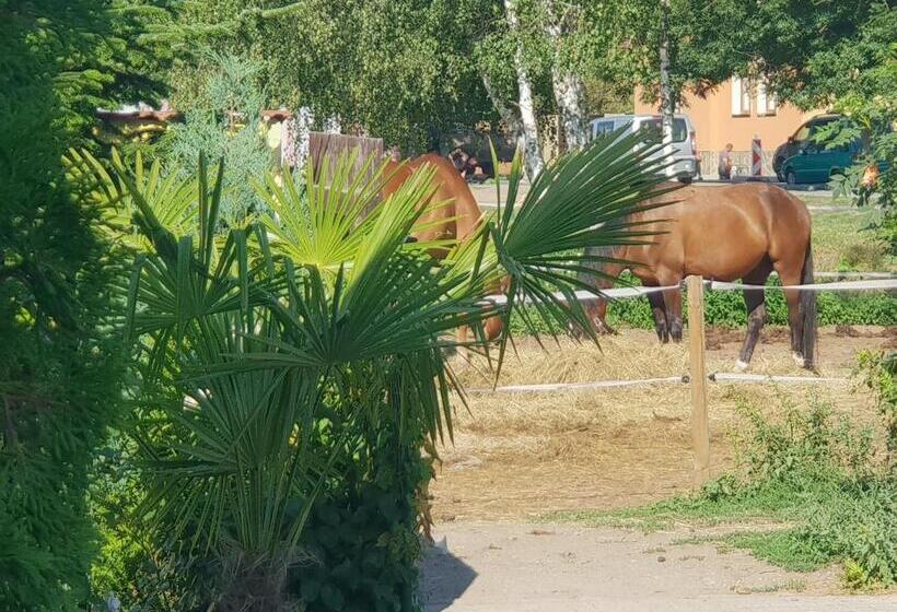 فندق Farm Stay Nh Stables