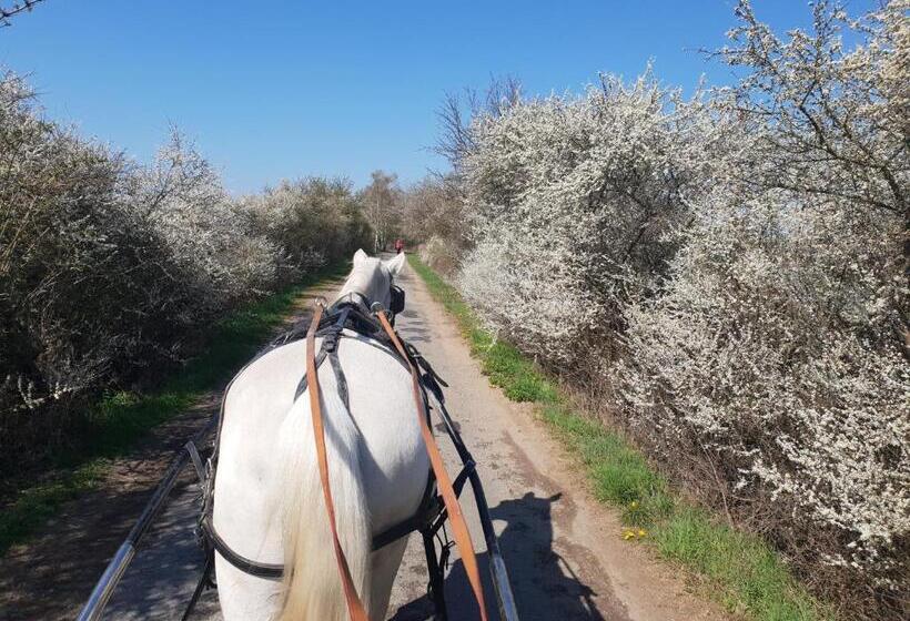 فندق Farm Stay Nh Stables