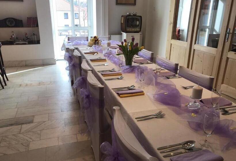 בית מלון כפרי Pod Stráží