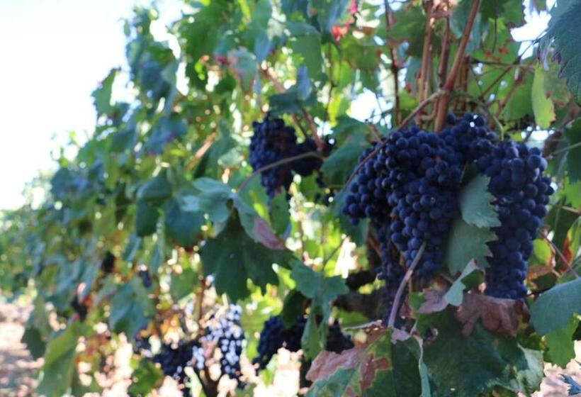 بنسيون Casa Dona Urraca