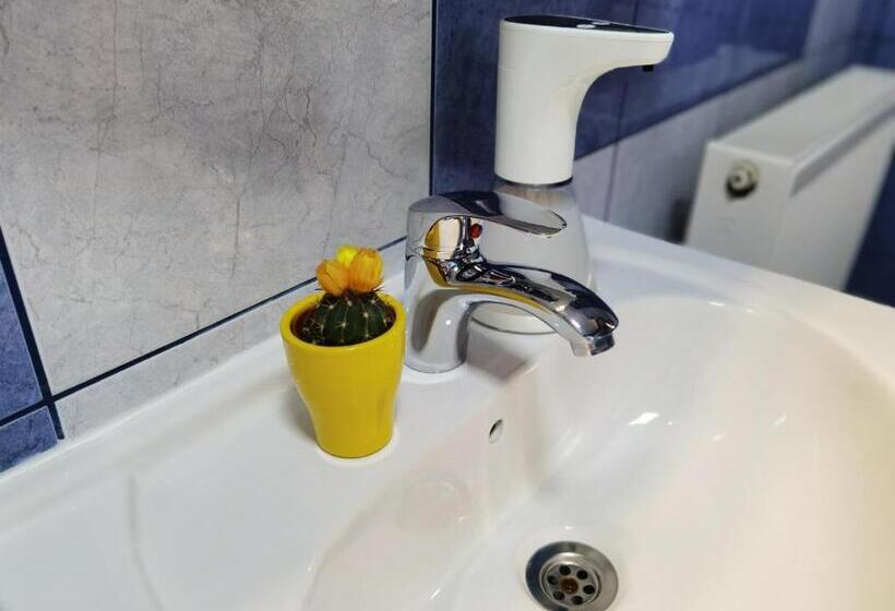 ペンション Dmc House