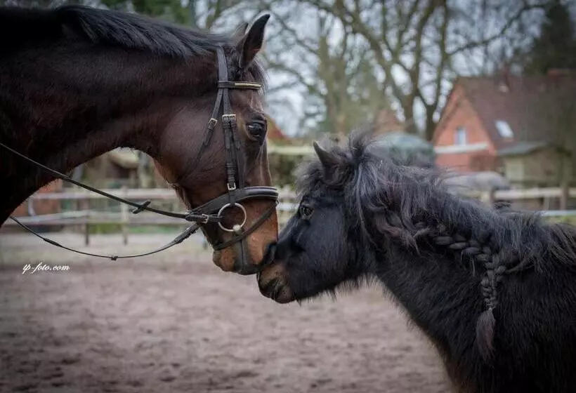ペンション Ferien Hohes Elbufer